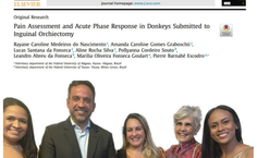 Prêmio excelência acadêmica