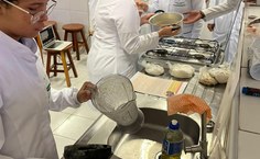 Comemoração Agosto Dourado Fanut