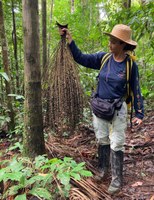 Ufal participa de estudo inovador sobre comunidades na Amazônia
