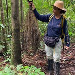 Ufal participa de estudo inovador sobre comunidades na Amazônia