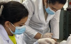 Pesquisadores durante análise de materiais para a pesquisa