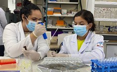 Pesquisadores durante análise de materiais para a pesquisa