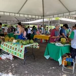 Projeto de extensão da Feac participa de Feira sustentável na Jatiúca