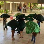 Estudantes de Arquitetura e Urbanismo promovem Passeata das Árvores