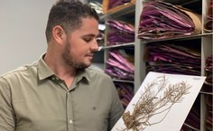 O estudante José Isnaldo  catalogando a descoberta