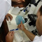 Pós-graduação em Ciências da Saúde realiza quinta edição de Curso de Verão
