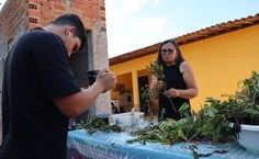 Estudante produziu filme sobre plantas medicinais