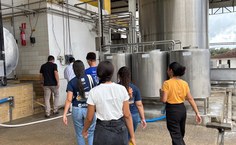 Estudantes de Engenharia Química desenvolvem biofilme produzido a partir de algas para aumentar a conservação do queijo
