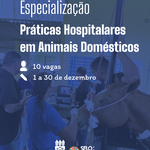 Ufal abre inscrições para Pós-graduação em Práticas Hospitalares Veterinárias