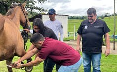 Ufal terá primeira turma em Pós-graduação em Práticas Hospitalares Veterinárias