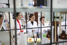 Participantes do Programa Futuras Cientistas