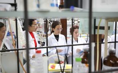 Participantes do Programa Futuras Cientistas