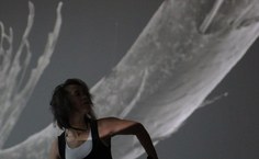 Blanca Lilia Hernandez