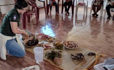 Projeto nas comunidades