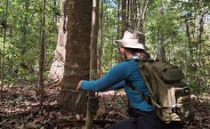 Egressa de Ciências Biológicas da Ufal conquista 1º lugar em seleção de mestrado na UFRR
