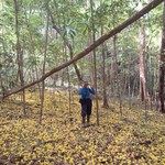 Egressa de Ciências Biológicas da Ufal conquista 1º lugar em seleção de mestrado na UFRR