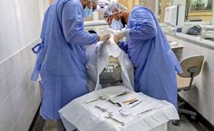 Vivência fora da universidade reforçou a importância do intercâmbio acadêmico na formação profissional