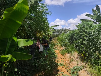 Campus Arapiraca vem ampliando pesquisas e ações voltadas ao desenvolvimento rural sustentável