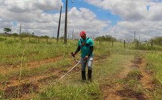 SAF Terra Mãe vem se consolidando como uma iniciativa que integra ensino, pesquisa e extensão