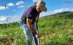 SAF Terra Mãe vem se consolidando como uma iniciativa que integra ensino, pesquisa e extensão