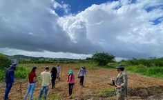 SAF Terra Mãe vem se consolidando como uma iniciativa que integra ensino, pesquisa e extensão