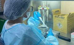 Atividades do doutorado no Lapevi