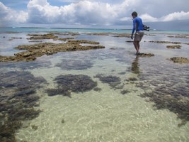 Egresso da Ufal publica artigo sobre dez espécies novas de esponjas marinhas