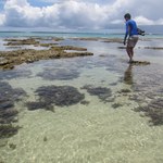 Egresso da Ufal publica artigo sobre dez espécies novas de esponjas marinhas