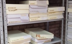 Biblioteca do MTB comemora 50 anos com amplo processo de requalificação