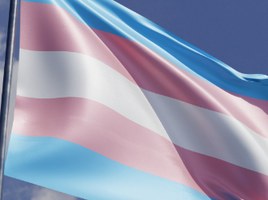 Ufal aprova cotas para travestis, transexuais, transgênero e não binários