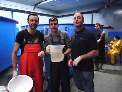 Pesquisadores Evaristo Gomez, à esquerda, e Emerson, ao centro, com vaso contendo a desova do cherne | nothing