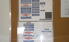 Exemplos de fluxogramas indicando procedimentos