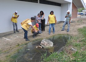 Ufal inicia campanha de combate à dengue