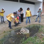 Ufal inicia campanha de combate à dengue