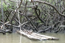 Bruno fotografou embarcações do litoral norte ao litoral sul de Alagoas