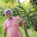 Além da Academia: Professor tem coleção com mais de 200 espécies de orquídeas