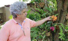 Professor coleciona 200 espécies de orquídeas (Foto: Jônatas Medeiros / Ascom Ufal)