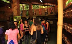 Área interna do Museu com mostras de variadas espécies de animais, madeiras e sementes da Mata Atlântica