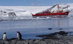 Expedição encerra esta semana
