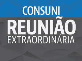 Relatório sobre modificação no Estatuto e Regimento será apresentado no Consuni