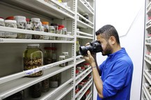 Pesquisador e fotógrafos nas horas vagas. Foto: Tárciila Cabral