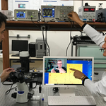 Projeto da Ufal concorre ao Prêmio Newton Prize 2018