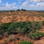 Pesquisa sobre a Caatinga é publicada em periódico internacional