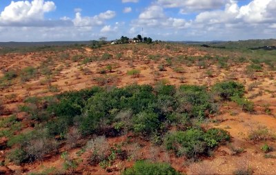 Vegetação da Caatinga. Foto: Arquivo do pesquisador