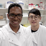 Servidor da Ufal integra pesquisa do Imperial College London