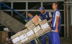 Descarte de documentos na Ufal. Foto: Renner Boldrino