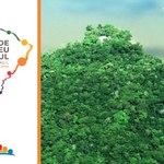 Revista latinoamericana de organizações civis publica artigo de economista da Ufal
