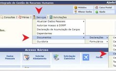 Declaração pelo SIGRH