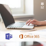 Atenção: novas turmas em capacitação docente para Microsoft Teams e Office 365