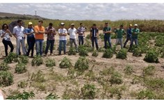 Aula prática Embrapa